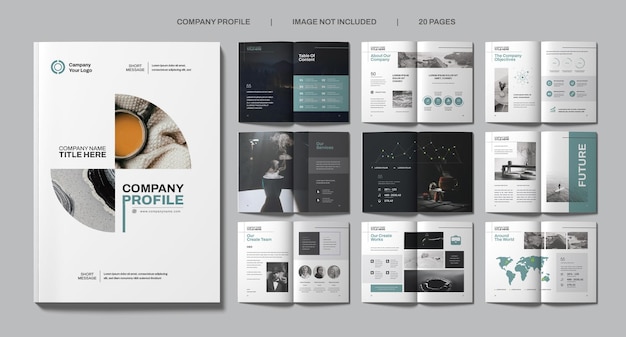 PSD company profile