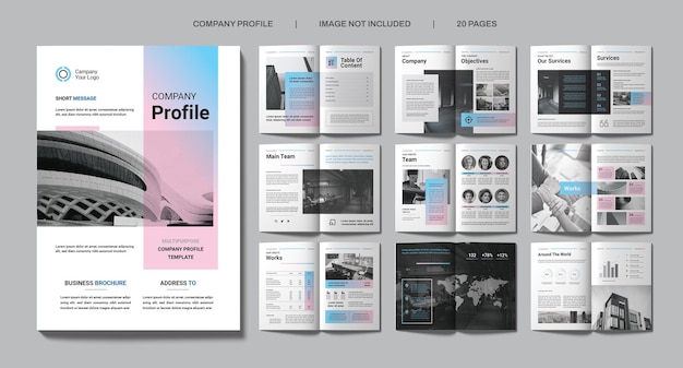 PSD company profile