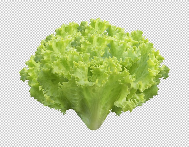 PSD composizione di insalata verde e fresca