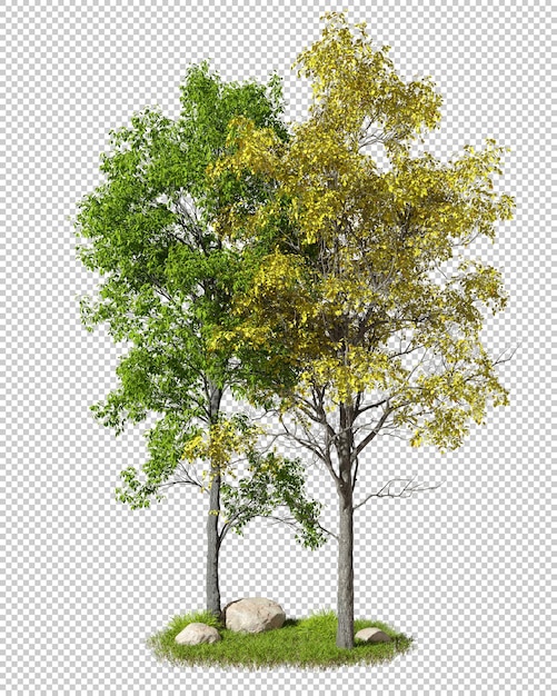 Composition trees outside cutout isolate backgrounds 3d render