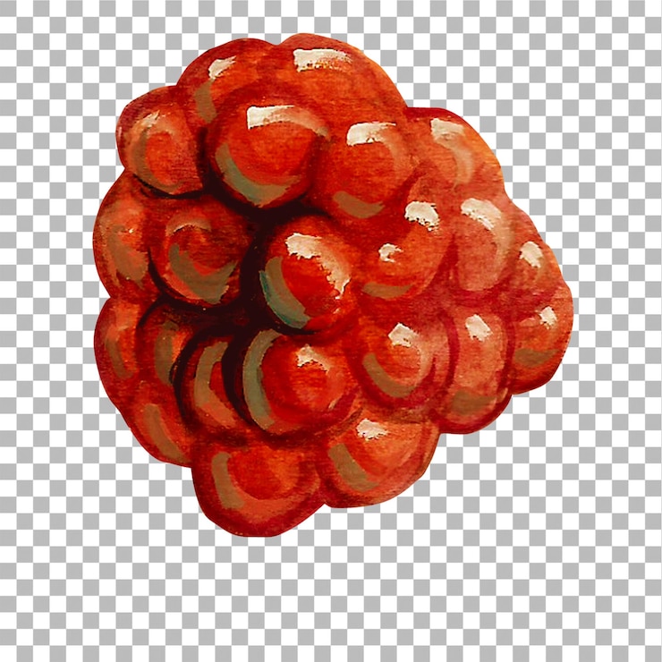 PSD concept illustration of raspberries hand draw water colour style fit for your element project