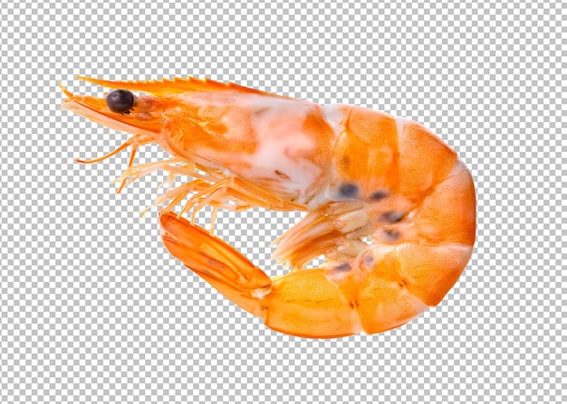 PSD cooked shrimps isolated on alpha layer