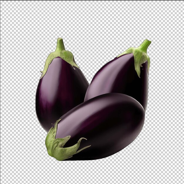 Cooking with Eggplants Vector Artwork
