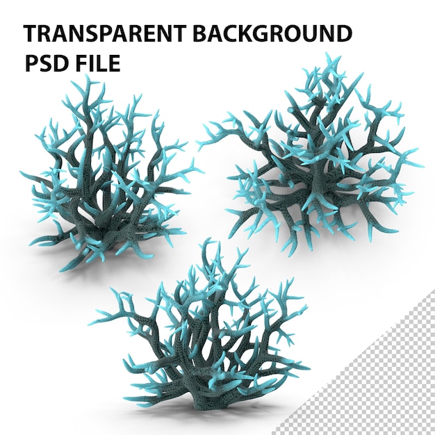 PSD coral blue png