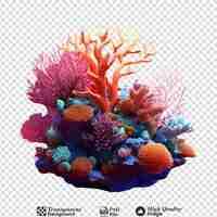 PSD coral reef isolated on transparent background