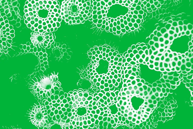 PSD coral reef polyps texture with clustered round and porous on png creative overlay background decor