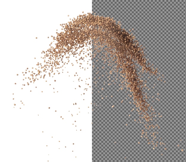coriander seed fly explosion brown coriander seed float explode abstract cloud fly dried coriander seeds splash throwing in air white background isolated high speed shutter freeze motion
