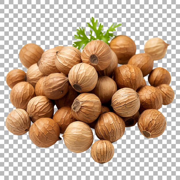 Coriander seeds on transparent background