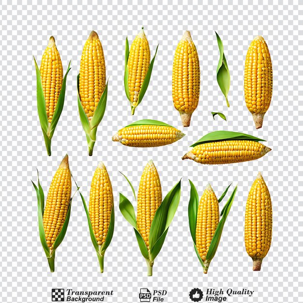 PSD corn collection isolated on transparent background