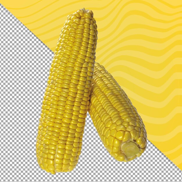 Corn grain on transparent background