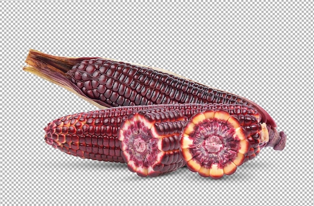 Corn isolated on alpha layer