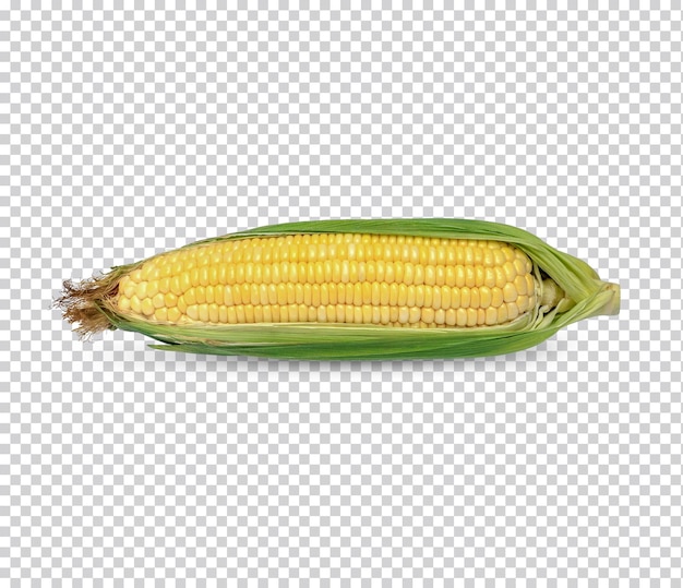 PSD corn isolated premium psd