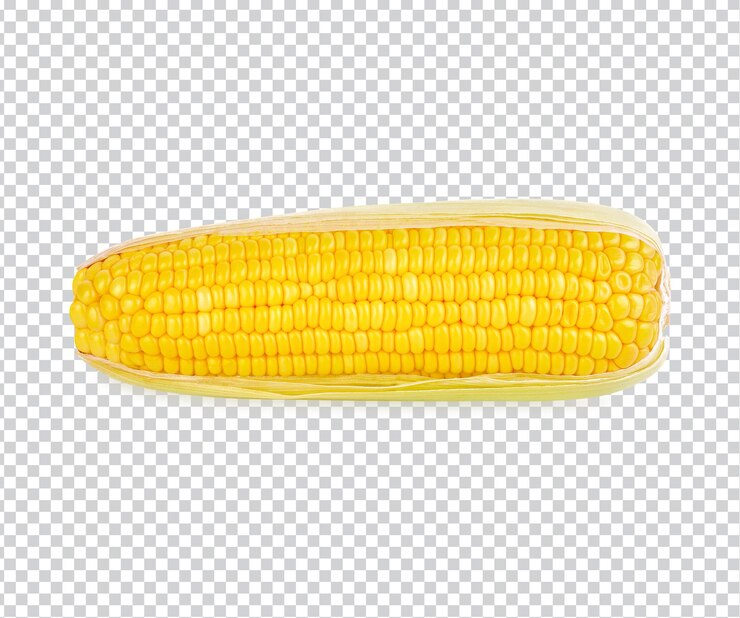 PSD 옥수수 절연 프리미엄 psd