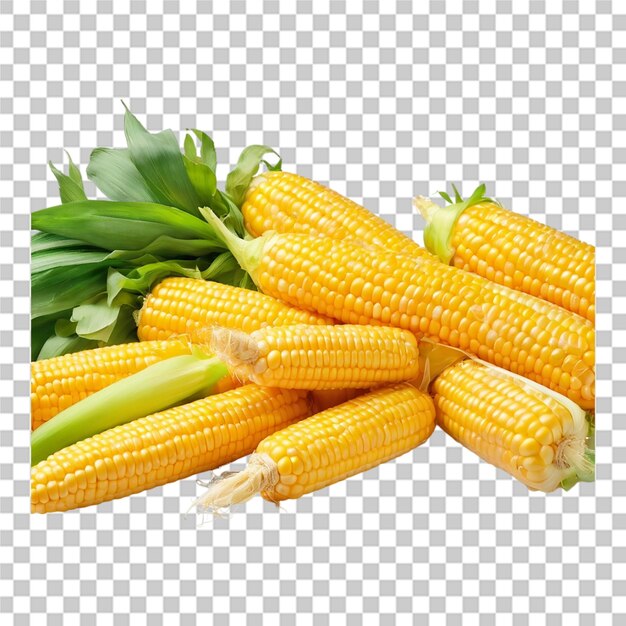 PSD corn isolated transparent background