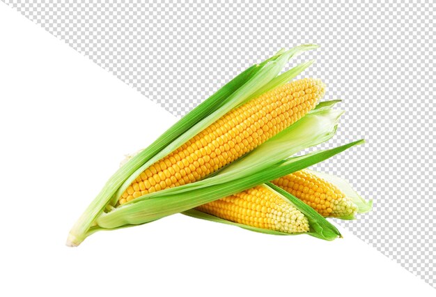 PSD corn png