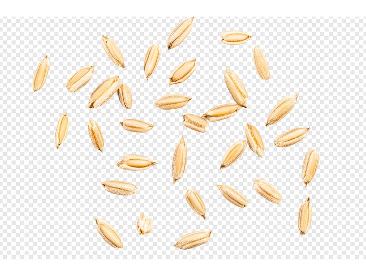 PSD corn on a transparent background