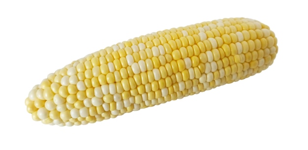 Corn on white background isolated