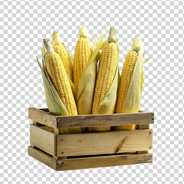 PSD corns on wooden crate isolated on transparent background