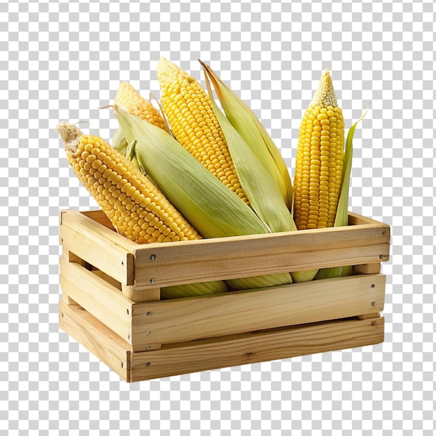 PSD corns on wooden crate isolated on transparent background