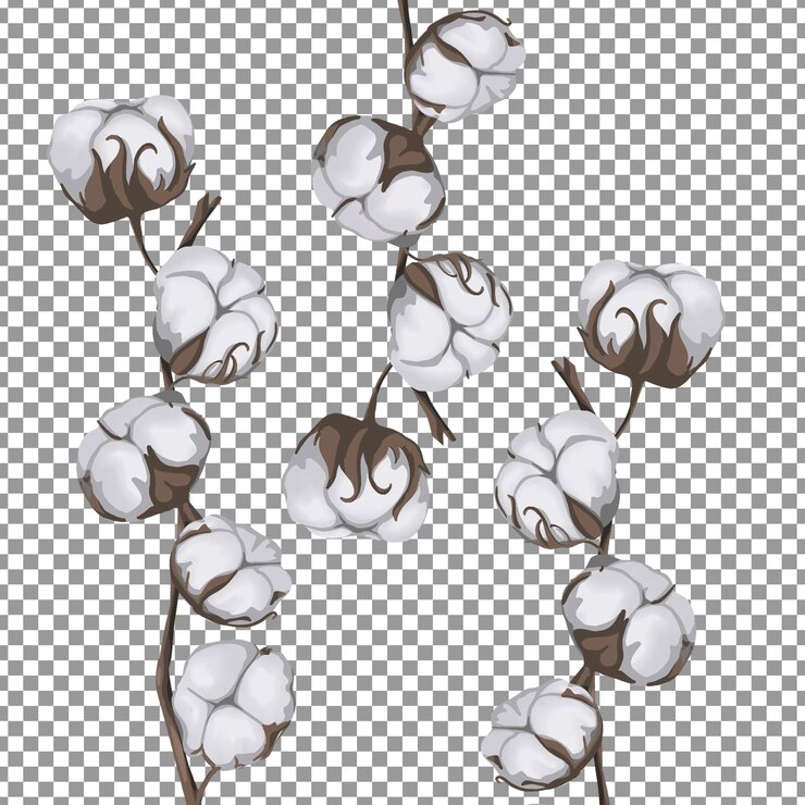 PSD cotton ball flowers