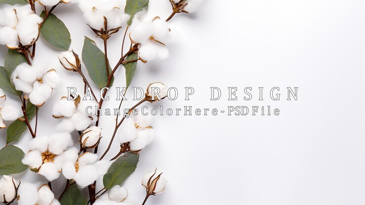 PSD cotton branch on white background