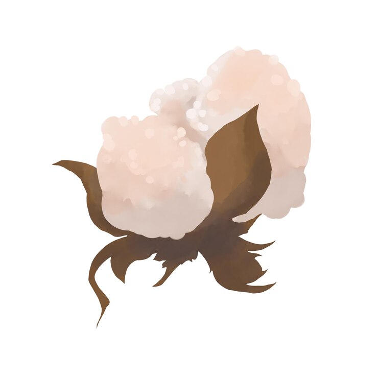 PSD cotton flower colored watercolor marker digital illustration