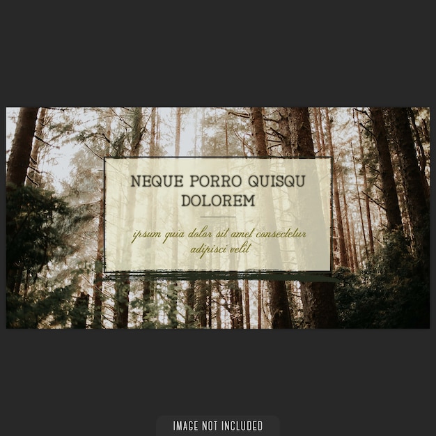 Cover mockup for image