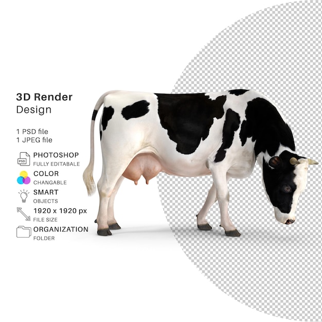 PSD cow 3d render model