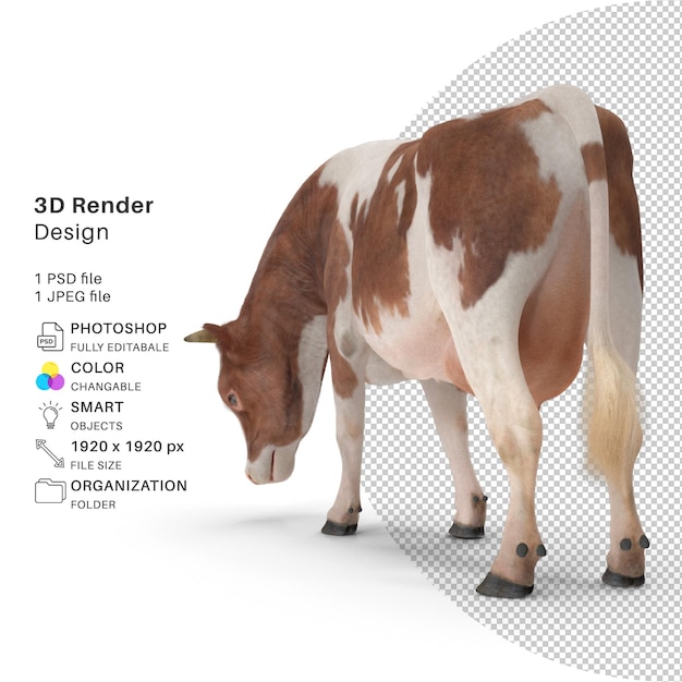 PSD cow 3d render model