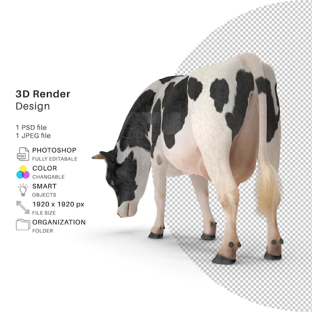 PSD cow 3d render model