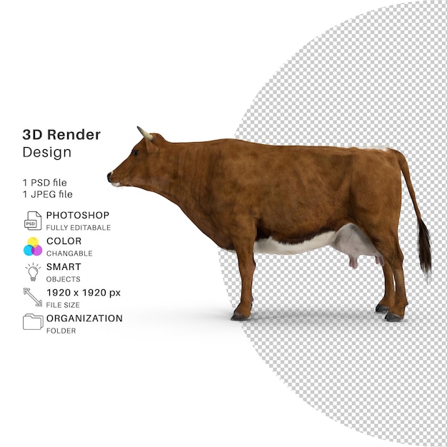 Mucca 3d rendering psd