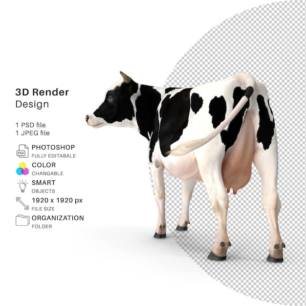 Mucca 3d rendering psd