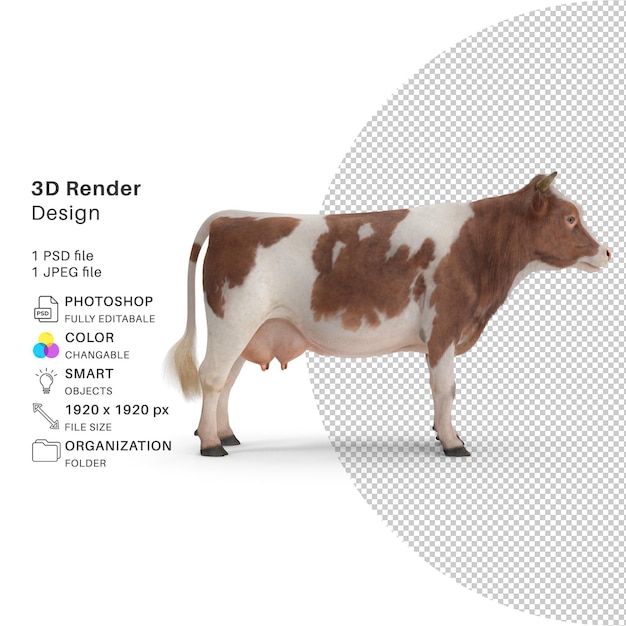 Mucca 3d rendering psd