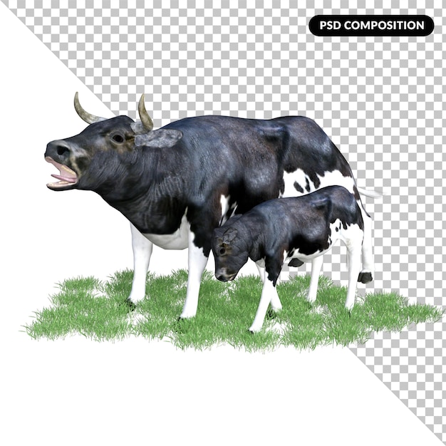 PSD cow animal isolated 3d