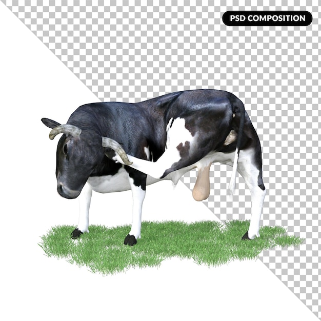 PSD animale bovino isolato 3d