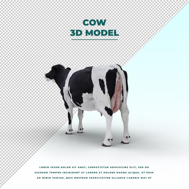 Cow isolated