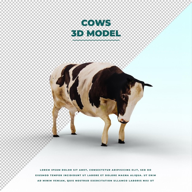 cow isolated