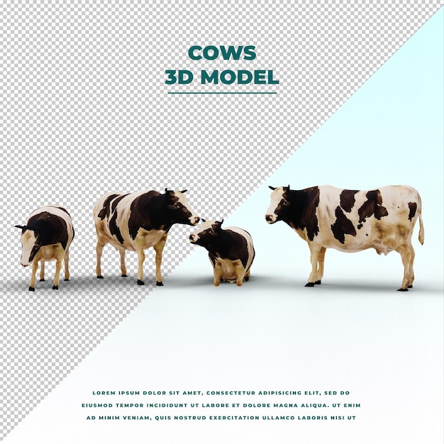 PSD cows isolated