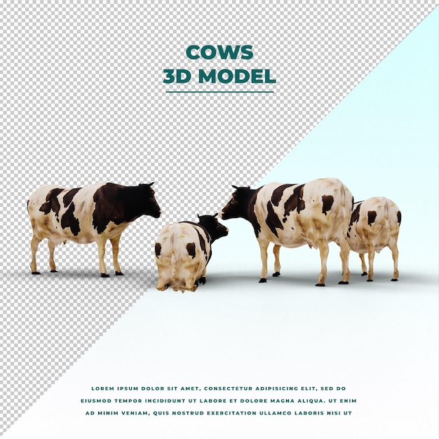 PSD cows isolated