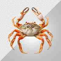 PSD crab isolated on white background