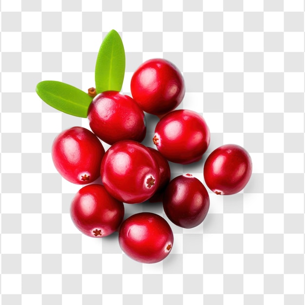 PSD cranberries transparency background psd