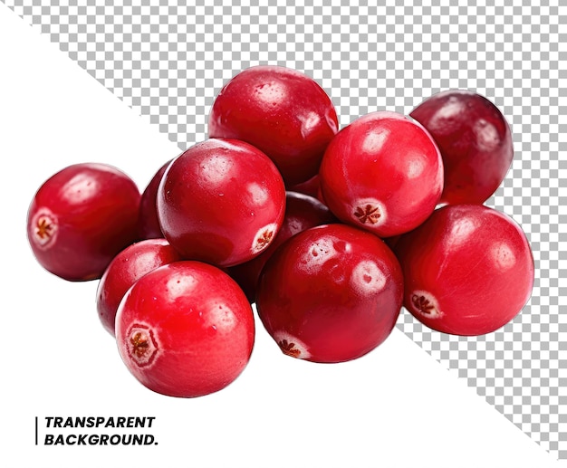 PSD cranberry isolated