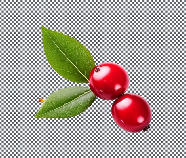 Cranberry with leaves isolated on transparent background