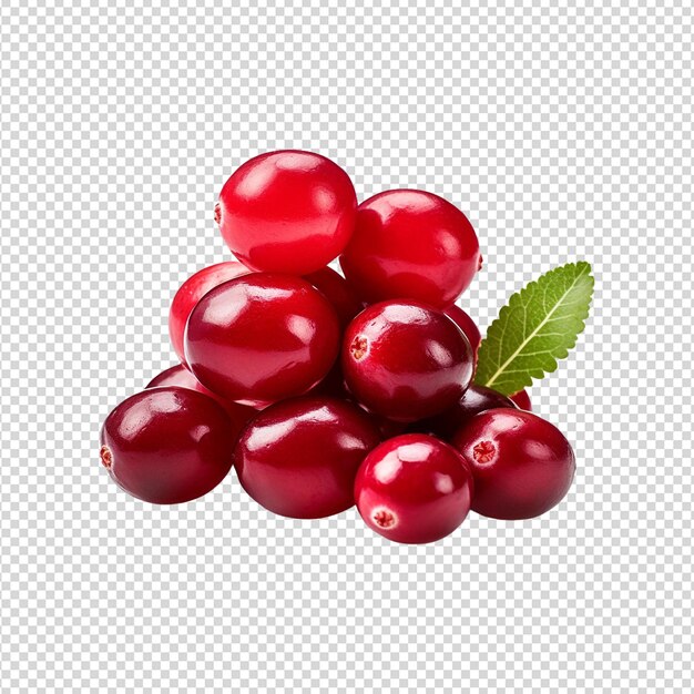 PSD cranberry