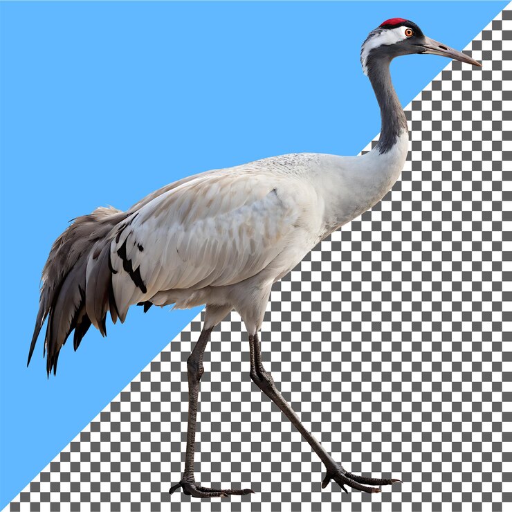 PSD crane