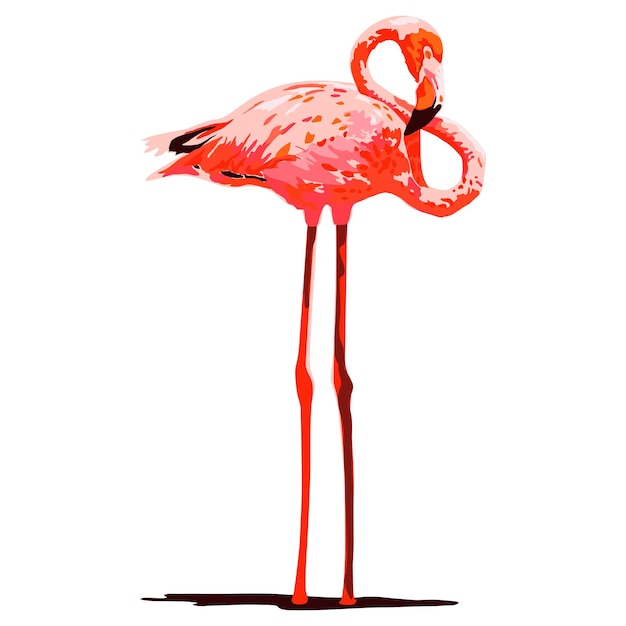 Creative Animal Concept Artistic Illustration of a flamingo sleeping on shallow water