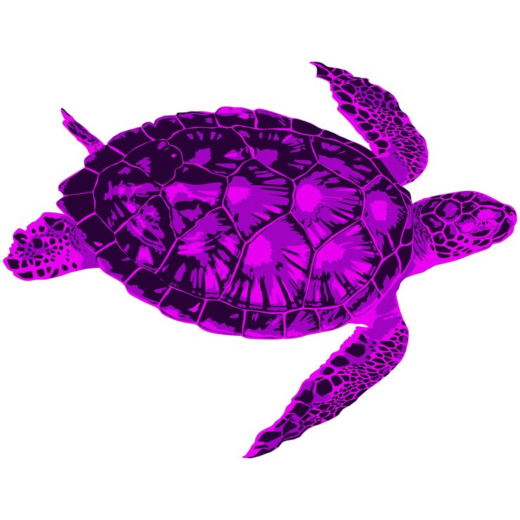 PSD creative animal concept artistic illustration of a large swimming sea turtle