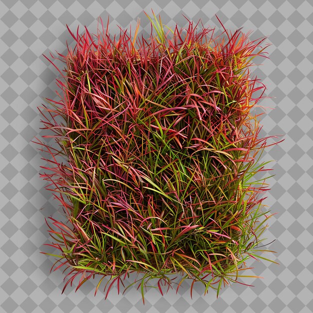 PSD creeping red fescue rubra grass with jasper stones and magen png green grass texture image