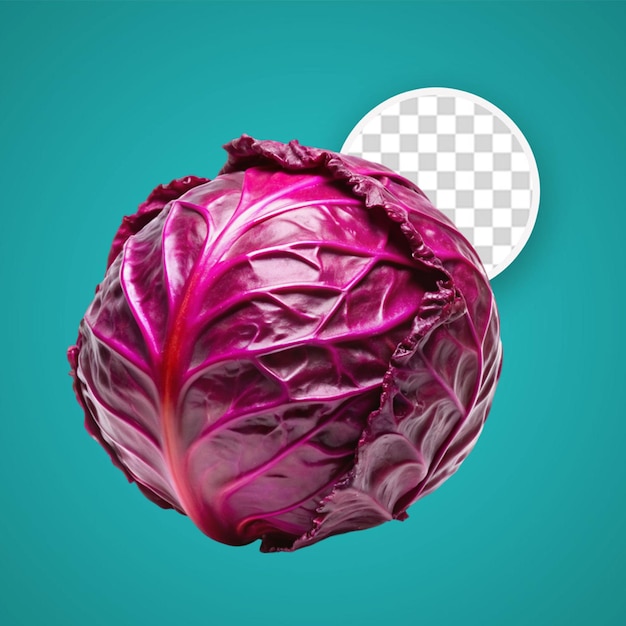 PSD crimson lettuce