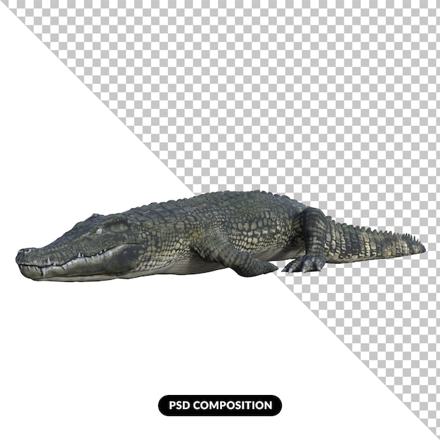 PSD rendering 3d isolato coccodrillo